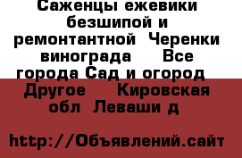 Саженцы ежевики безшипой и ремонтантной. Черенки винограда . - Все города Сад и огород » Другое   . Кировская обл.,Леваши д.